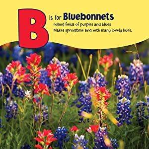 B is for Bluebonnets