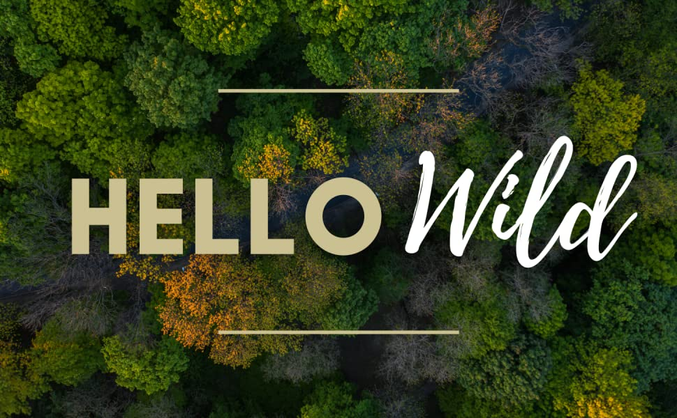 Hello Wild - Mushrooms Cover Banner