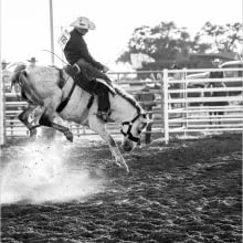 horse ranch, cowboys horses, rodeo, horseback riding, the west, horses